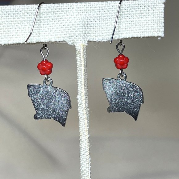 Wisconsin Badgers Dangle Earrings - Picture 4 of 4